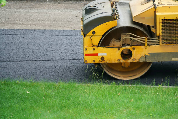 Best Concrete Paver Driveway  in Alamo, TX